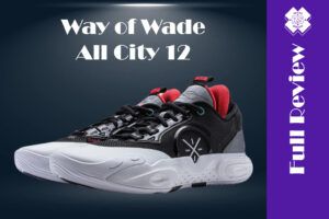 Way of Wade All City 12 Full Review